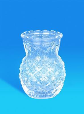 【厂家 供应玻璃瓶 密封罐 透明玻璃储物罐 菠萝形瓶】价格,厂家,图片,其他玻璃包装容器,徐州嘉隆玻璃制品有限公司